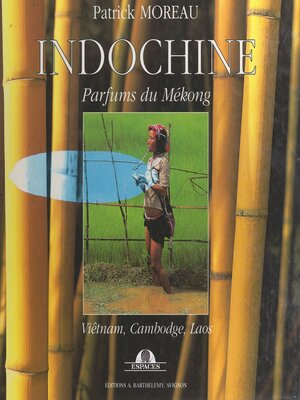 cover image of Indochine